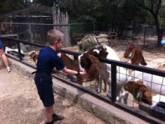 2012-04-09-17-Austin Zoo with Ian.jpg
